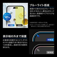 iPhone 17/iPhone 17 Pro/iPhone 16 Pro ガラスフィルムゴリラガラス ブルーライトカット 指紋防止（直送品）