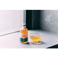 CityCamp OFF LEMON レモネード レモンシロップ 希釈用 300ml 1本