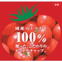 国産トマト100％トマトケチャップ 300g 1セット（1本×3） コーミ