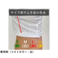 ウインセス 防塵手袋 制電タイプ L 1袋(10双入) * 1袋 69-4689-87（直送品）