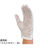 ウインセス 防塵手袋 マチ付 L 1袋(10双入) * 1袋 69-4689-91（直送品）