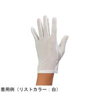ウインセス 防塵手袋 LL 1袋(12双入) * 1袋 69-4692-73（直送品）
