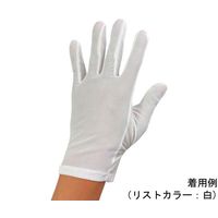 ウインセス 防塵手袋 L 1袋(10双入) * 1袋 69-4690-78（直送品）