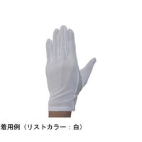 ウインセス 防塵手袋 LL 1袋(12双入) * 1袋 69-4691-03（直送品）