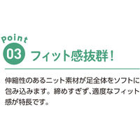 ディーエーピーネットワーク あゆみエスパド スリッパ 紫 L(23.5~24.5) W0180055832 1枚（直送品）