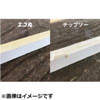 スキルマン エコ丸 石膏ボード用 丸鋸刃 100mm 23504 1セット(2枚)（直送品）