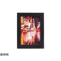 ケンコー・トキナー トレカフレーム L ブラック PS-TC-L-BK 1個 69-0328-42（直送品）