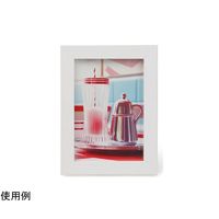 ケンコー・トキナー トレカフレーム L ホワイト PS-TC-L-WH 1個 69-0328-43（直送品）