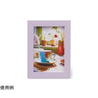 ケンコー・トキナー トレカフレーム L ラベンダー PS-TC-L-LVD 1個 69-0328-44（直送品）