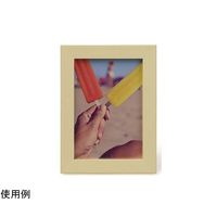 ケンコー・トキナー トレカフレーム L イエロー PS-TC-L-YE 1個 69-0328-46（直送品）