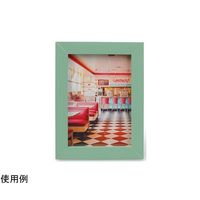 ケンコー・トキナー トレカフレーム L グリーン PS-TC-L-GRN 1個 69-0328-47（直送品）