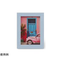 ケンコー・トキナー トレカフレーム L ライトブルー PS-TC-L-LBU 1個 69-0328-48（直送品）