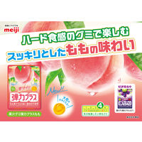 グミ 食べきりサイズ 果汁グミ　弾力プラス　もも 1セット（1個×12）