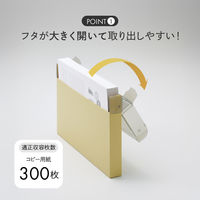 リヒトラブ Mutual コングレスケース A4ヨコ ライトブルー コピー用紙300枚 A2073-14 1冊