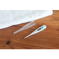 電子体温計 ホワイト TOー207WT 1個 ドリテック