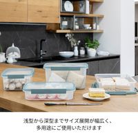 カーバー（CURVER）スマートフレッシュ 保存容器 長方形 3.5L 浅型 電子レンジ対応 1個 藤栄