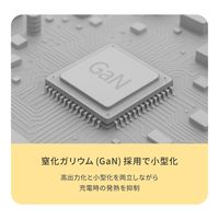 オウルテック 薄さ13mm 最大PD20W出力 GaN採用 AC充電器 OEC-APD20A1C1G-BK 1個
