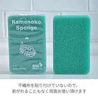 （季節限定）亀の子スポンジ スタンダード 角型 キッチンスポンジ 抗菌・防カビ加工 マツ 1個 亀の子束子