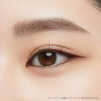 ettusais（エテュセ）　ラスティング　リキッドライナー　06 ダークチェリー