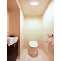 アイリスオーヤマ 小型シーリングライト 高効率 2000lm 電球色 SCL20L-H 1台