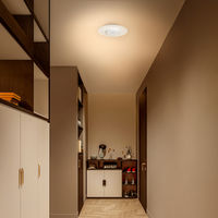 アイリスオーヤマ 小型シーリングライト 導光板 1900lm 電球色 人感センサー付 SCL190L-MS-P 1台