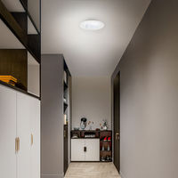 アイリスオーヤマ 小型シーリングライト 導光板 1900lm 昼光色 SCL190D-P 1台