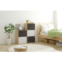 アイリスオーヤマ インナーボックス 幅38.5×奥行27×高さ27cm 収納バスケット カラーボックス 縦置き 折りたたみ ホワイト FIB-38R １個