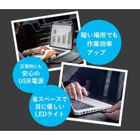 NAKAGAMI Smaly モニターライト 調光10段階 調色3段階 SM-PCL21 1台