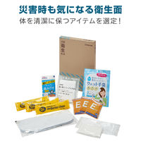 【防災セット】 キングジム 災害衛生セット 簡易トイレ 歯磨きシート ドライシャンプー A4サイズ HGS-200 12組（1箱）