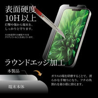 MSソリューションズ iPhone 13 Pro Maxガラスフィルム マット・反射防止 LP-IL21FGM 1個