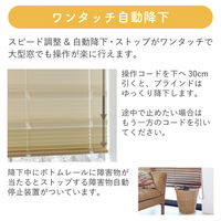 【1cm単位】大型窓用アルミブラインド＜遮熱＞幅212cmx高さ264cm spt835_w212h264r200 1セット トーソー（直送品）