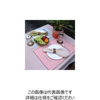 杉田エース プレイスマット ライトピンク&レッド 955510 1セット(2枚)（直送品）
