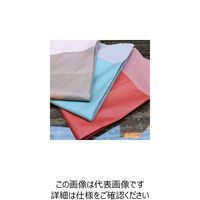 杉田エース テーブルクロス レクタングル ライトブルー 955500 1枚（直送品）