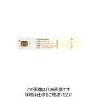 エスコ G1/8”x 6.0mm 雌ねじステム EA141AT-12A 1セット(15個)（直送品）