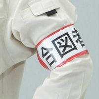 エスコ 400x 70mm 腕章(差込式・ゴムバンドタイプ/赤) EA983RG-74 1セット(10枚)（直送品）