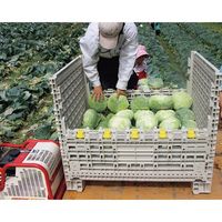 エスコ 810x515x595mm/ 500kg メッシュパレット(キャスター付) EA985R-10 1台（直送品）