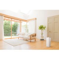 エスコ AC100V/ 43W/36畳 空気清浄機 EA763AD-112 1台（直送品）