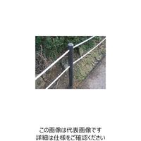 エスコ φ55x 900mm 万能杭(穴なし) EA628ZT-9 1セット(100本:10本×10本)（直送品）