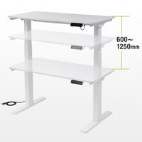 サンワサプライ 電動昇降デスク(幅1200mm・ホワイト) ERD-C12060W 1台（直送品）