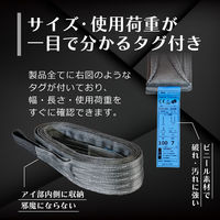 フリーク FREAK CEベルトスリングE型 使用荷重3150kg 幅100mm 長さ4.5m 65745 1本（直送品）