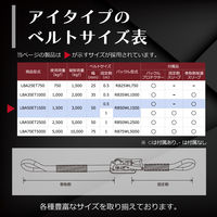 フリーク FREAK ラッシングベルト青 アイ1.5ton 幅50mm×長さ0.5+8m 75152 1本（直送品）