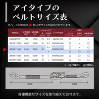 フリーク FREAK ラッシングベルト青 アイ1.5ton 幅50mm×長さ1+4m 75158 1本（直送品）