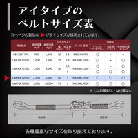 フリーク FREAK ラッシングベルト青 アイ2.5ton 幅50mm×長さ1+10m 75184 1本（直送品）