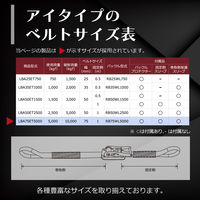 フリーク FREAK ラッシングベルト青 アイ5ton 幅75mm×長さ1+5m 75188 1本（直送品）