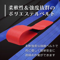フリーク FREAK ラッシングベルト青 レール1ton 幅50mm×長さ0.5+5m 75357 1本（直送品）