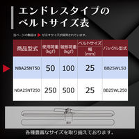 フリーク FREAK 荷締めベルト青 エンドレス50kg 幅25mm×長さ2m 1セット(10本) 75001