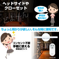 朝日電器 LEDスティック&スリム ALT-ST3010RE(D) 1個（直送品）