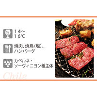 サンタ・リタ 120 カベルネ・ソーヴィニヨン 750ml チリ 赤 ミディアムボディ  赤ワイン