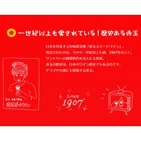 サントリー ソーダでおいしい赤玉パンチ 500ml 紙パック 1本  赤ワイン