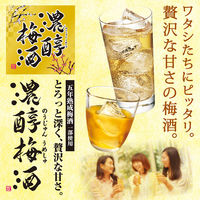 濃醇梅酒 10度 パック 1.8L 1本 アサヒ